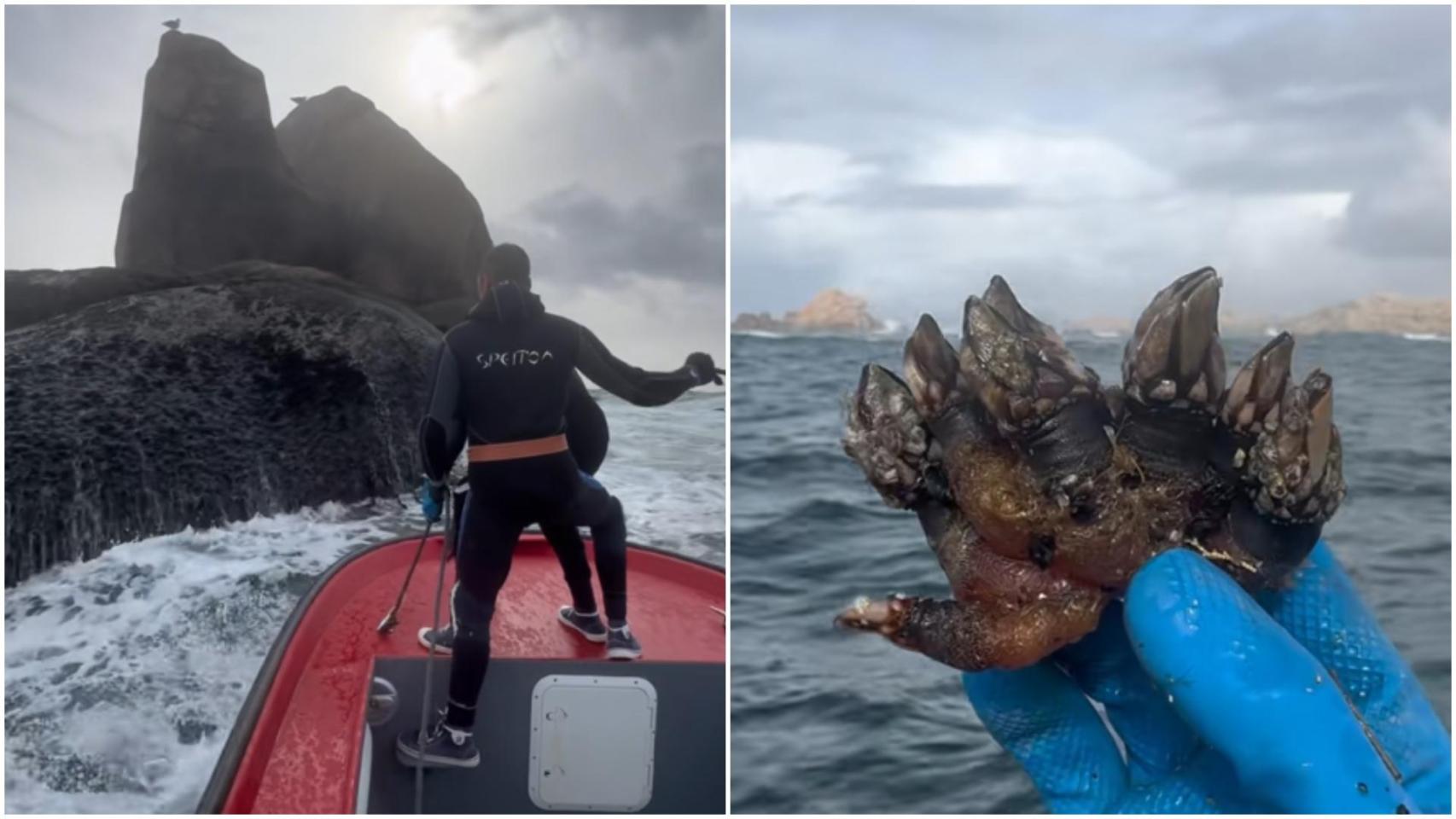 El trabajo de los percebeiros es uno de los más peligrosos que existen
