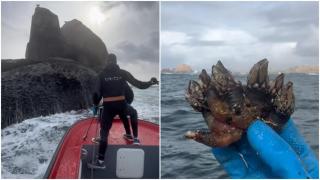 El trabajo de los percebeiros es uno de los más peligrosos que existen