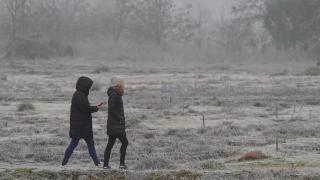Niebla y frío en El Bierzo en diciembre de 2024