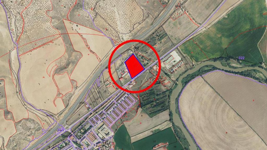 Terreno que se subasta en el Paraje Los Almendros (Valdecubas-Mazarracín) en Toledo.