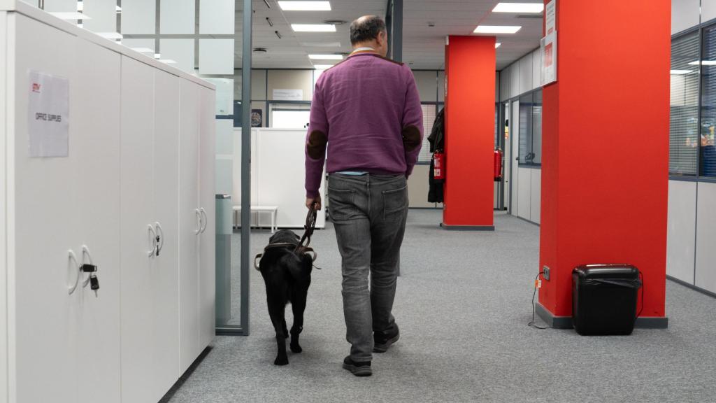 Rubén paseando a su perro James por las oficinas de GMV.
