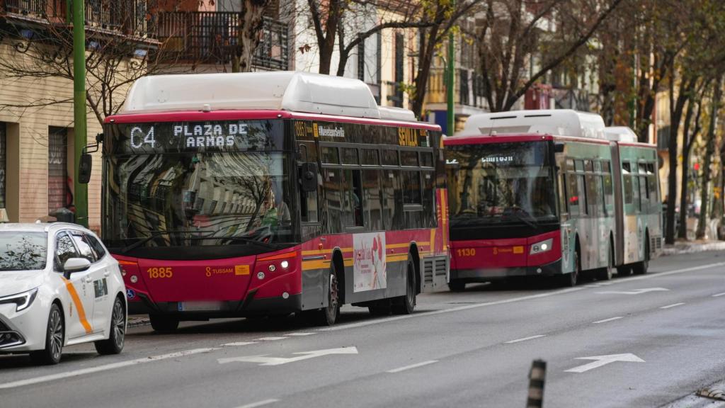 Imagen recurso dos autobuses Tussam.