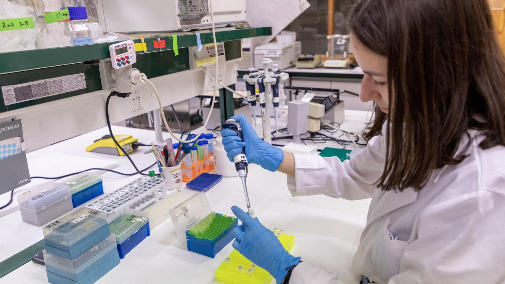 Centro de Investigación del Cáncer