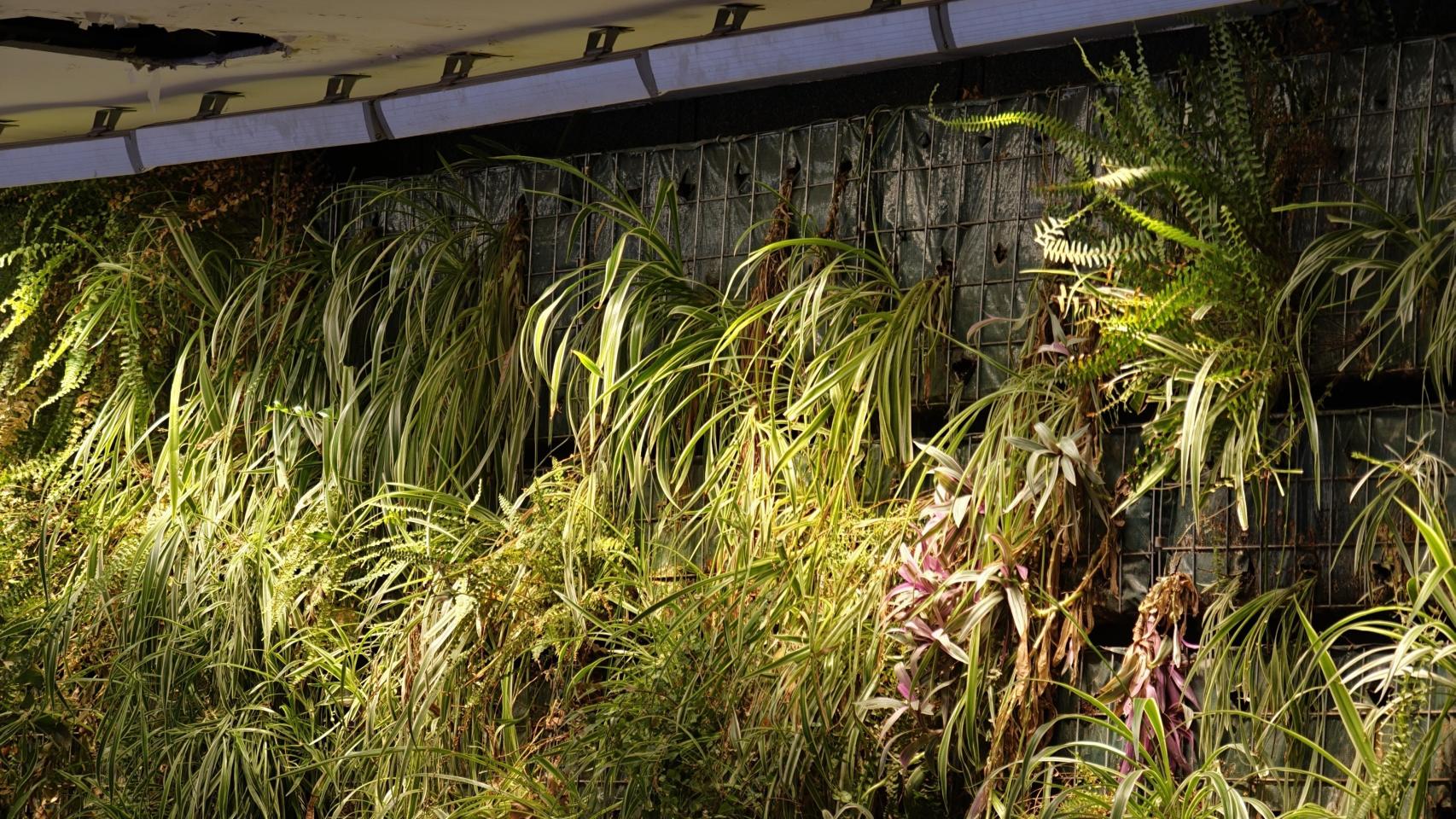 Teleobjetivo OPPO Find X9 Pro