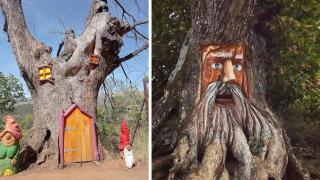 Un montaje con imágenes de Parauta.