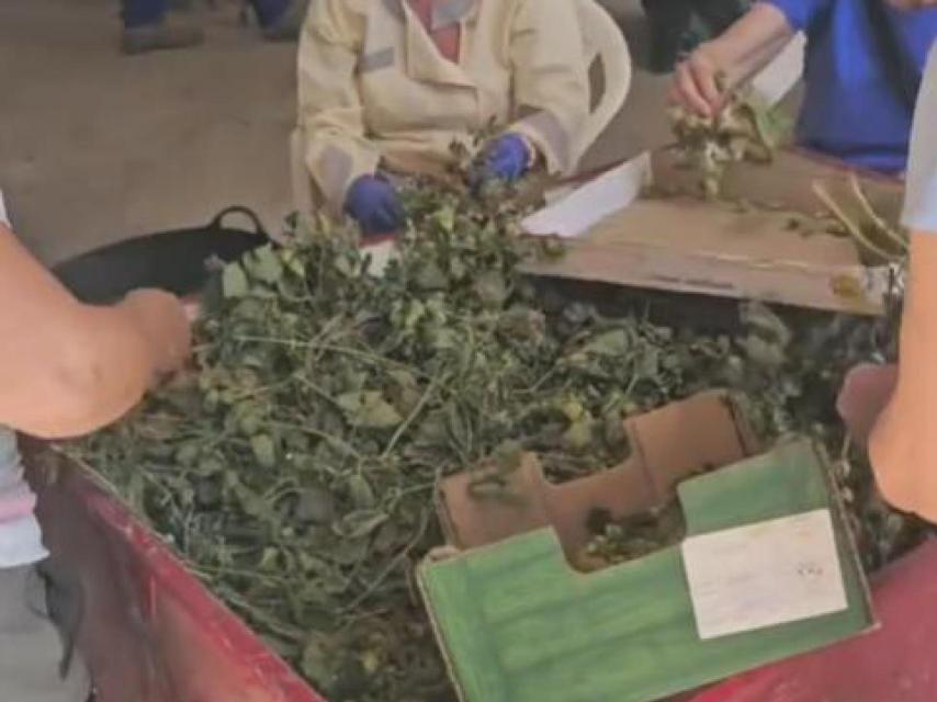 Captura del vídeo de 'NosVamosPalPueblo'.