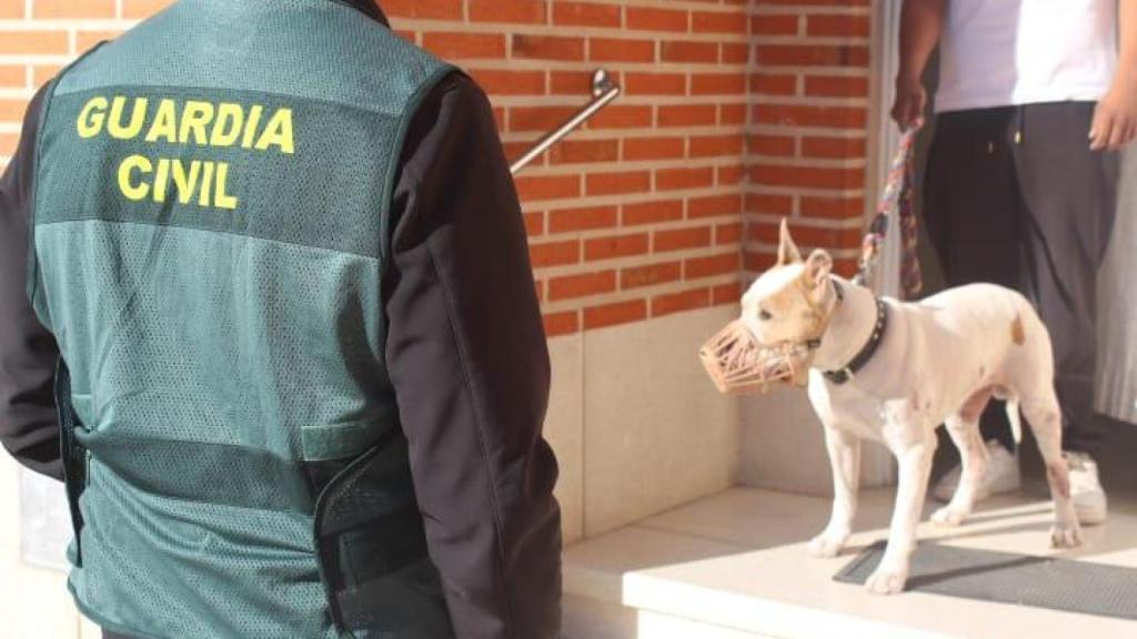 La Guardia Civil investiga a un hombre por el ataque de su perro catalogado como potencialmente peligroso a otro perro