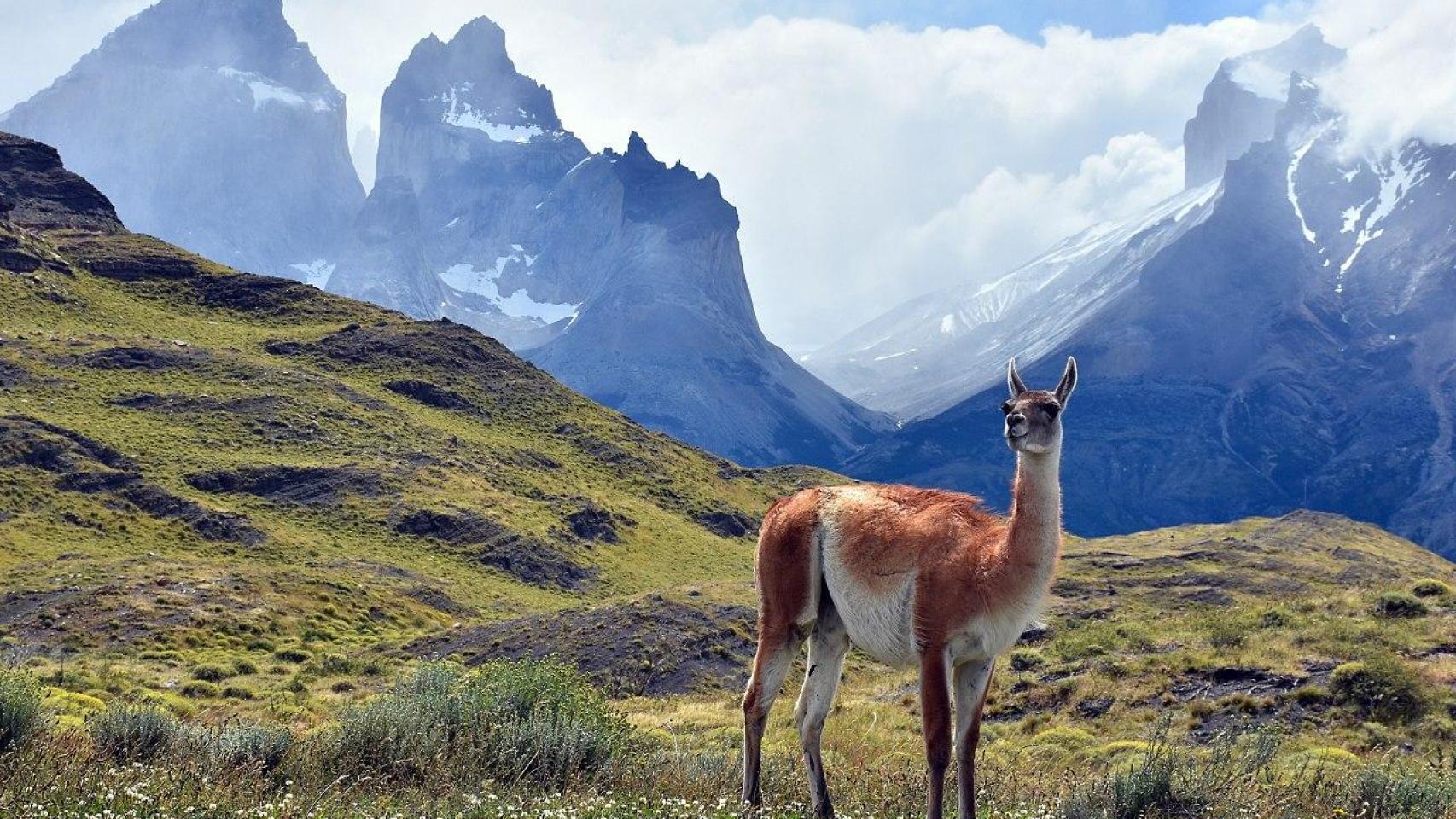 Imagen del Parque Nacional Torres del Paine (Chile).