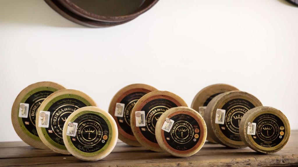El catálogo de quesos de Dehesa de Los Llanos: Semi, Curado y Reserva.