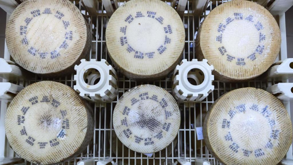 Quesos madurando en  Dehesa de los Llanos.