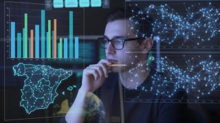 Montaje de un analista de datos