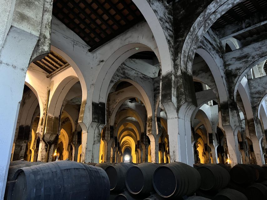 El interior de la bodega La Mezquita, de Fundador.