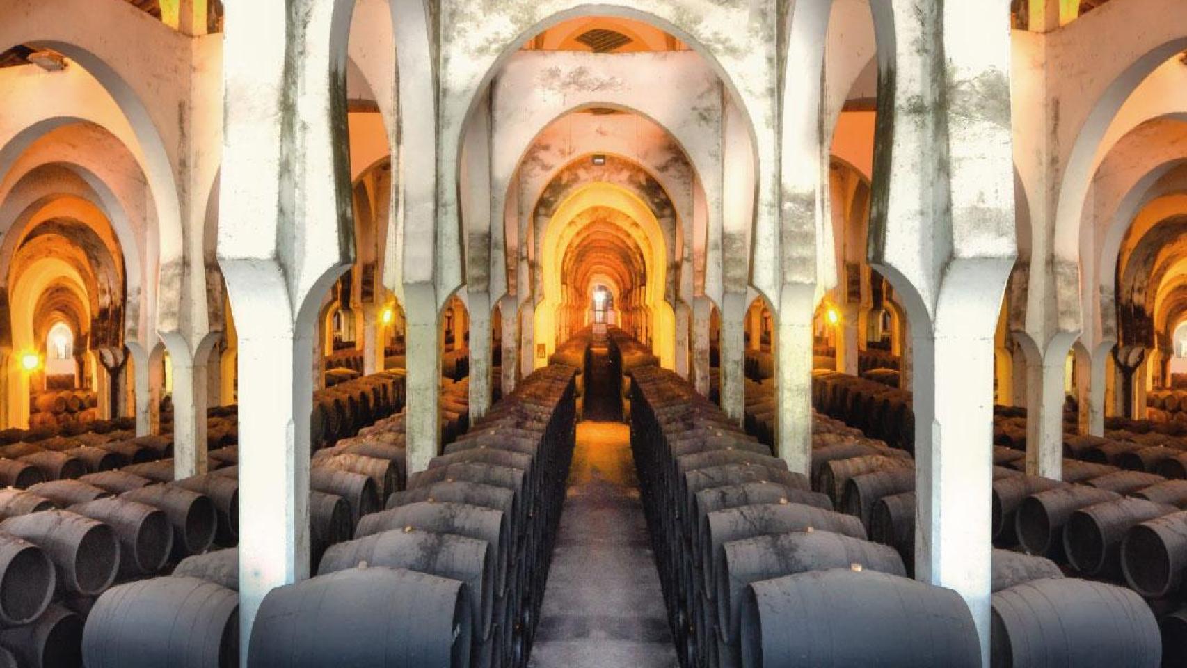 Bodega La Mezquita, de Fundador, es una de las más grandes del mundo.