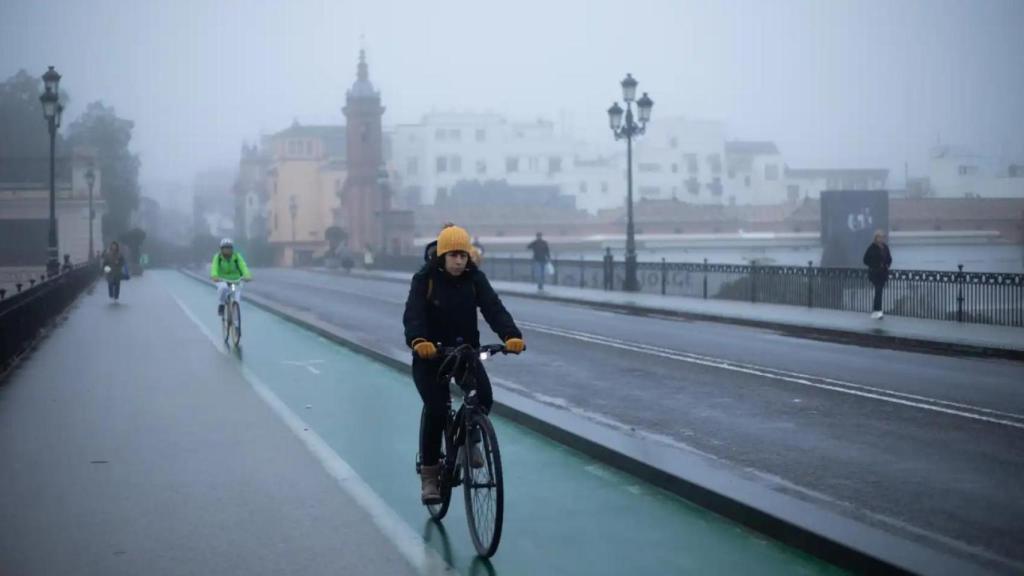 Imagen del puente de Triana.