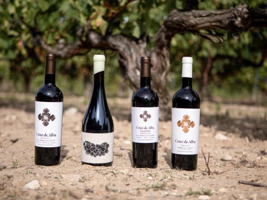 Vinos Cruz de Alba