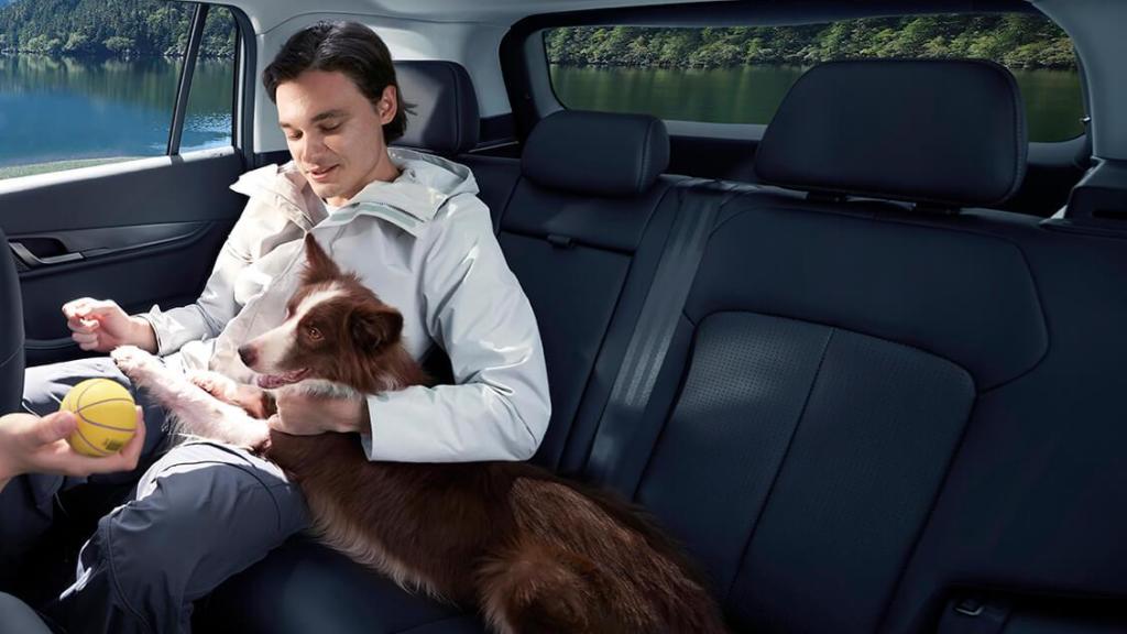 El Jaecoo 5 debuta en el mercado español como un SUV chino especialmente diseñado para los amantes de los animales.