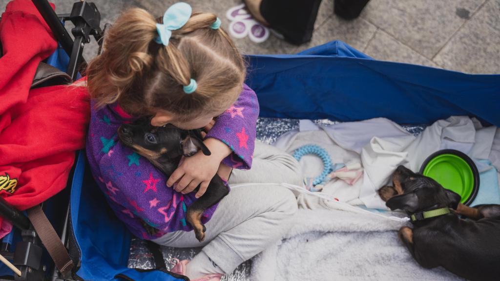 Una niña con un cachorro en brazos.