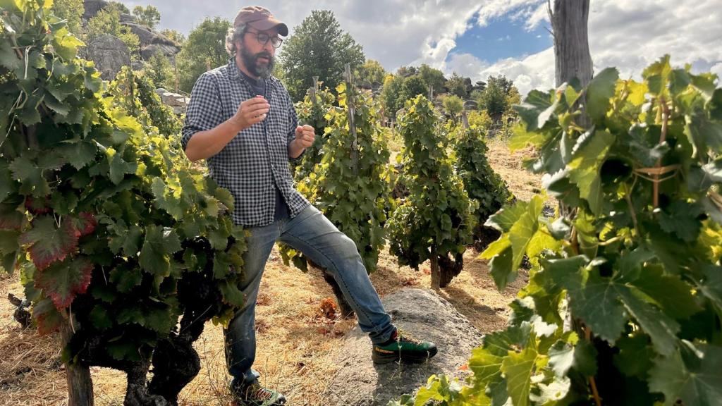 Landi entre garnachas.