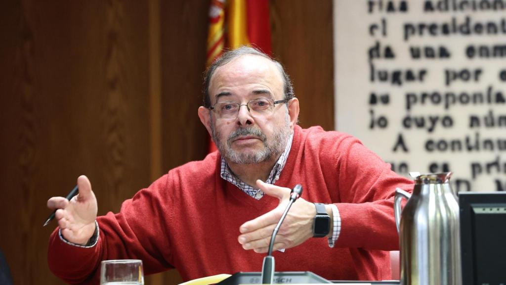 El extesorero de Bancal de Rosas, Pedro Luis Egea Vega, comparece ante la Comisión de Investigación sobre el 'caso Koldo', en el Senado.