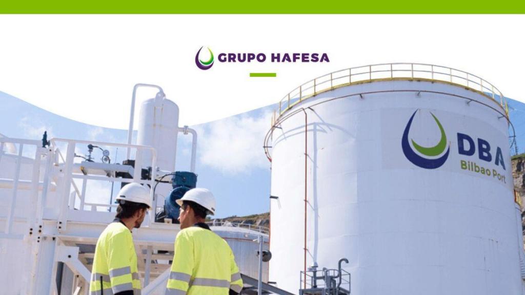 Fotografía de una planta de Hafesa.