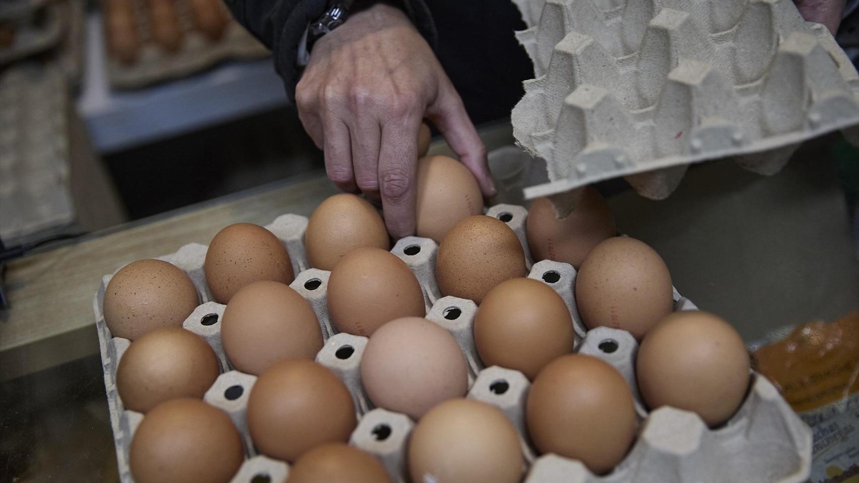 Un hombre dispone huevos en un cartón.