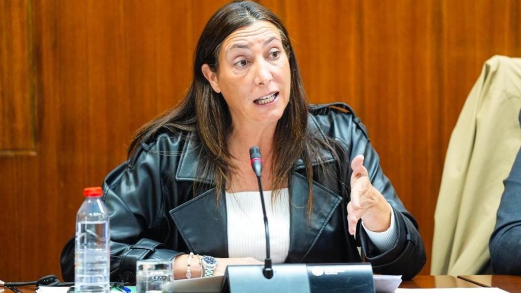 Loles López, la consejera de Igualdad, este jueves en el Parlamento de Andalucía.