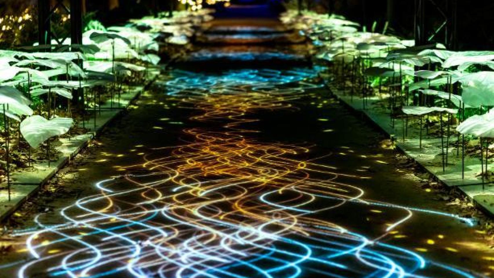 Otras ediciones de Naturaleza Encendida en España.