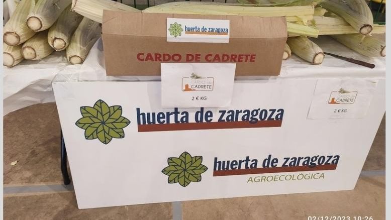 Cardo de Cadrete.