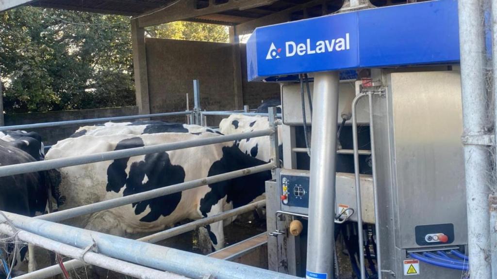 La granja de Marcial