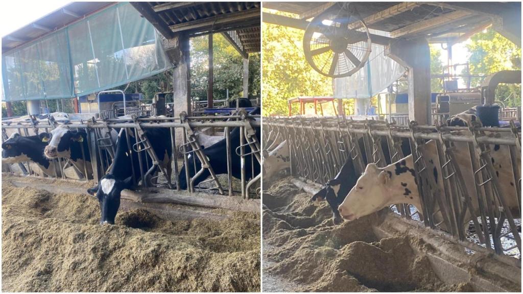 La granja de Marcial, en Boado, parroquia de Mesía (A Coruña)
