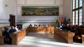 Pleno de CPEIS Toledo. Foto: Diputación: