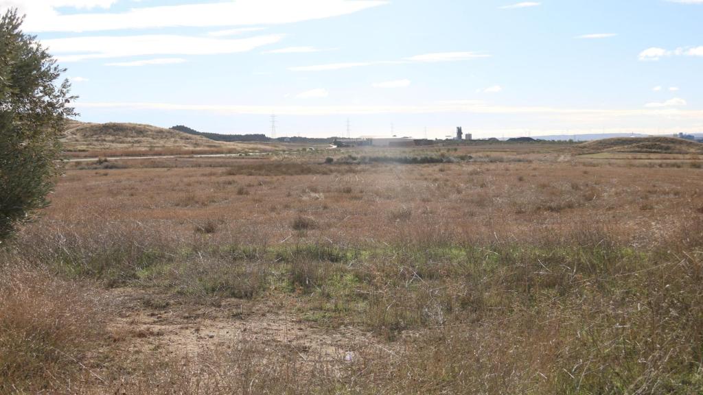 Terrenos de Villamayor de Gállego donde se instalará el centro de datos de Microsoft