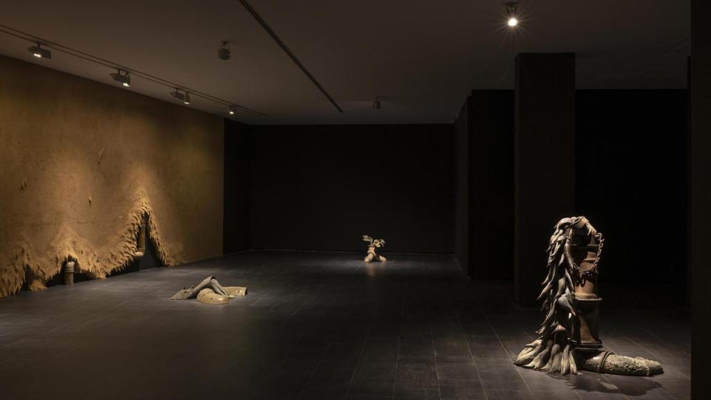 Vista de la exposición de Inês Zenha en el CA2M. Foto: Sue Ponce