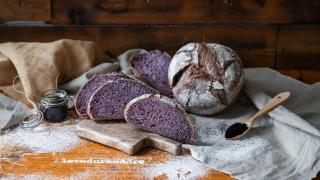 1003744010743_259896969_1706x960