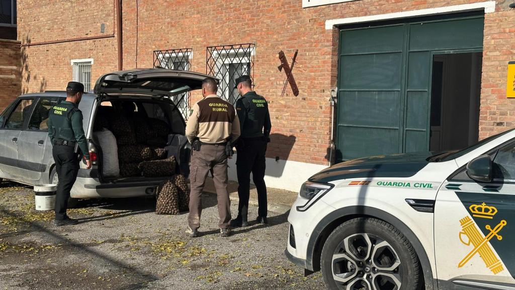 La Guardia Civil junto a las nueces robadas en una finca agrícola en el Bajo Cinca