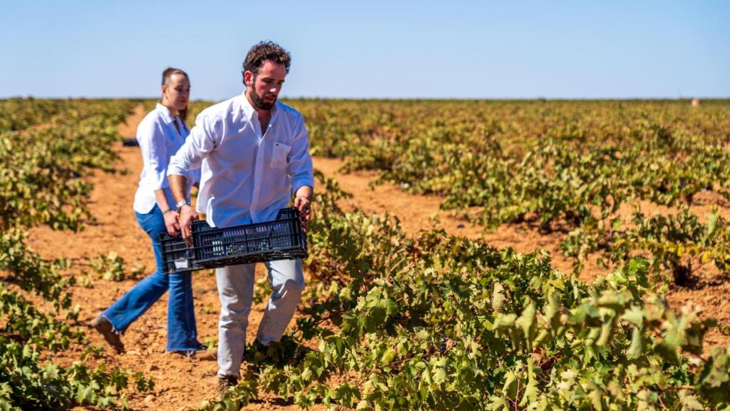 Antonio y su hermana recolectando.