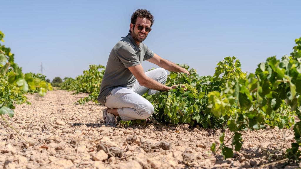 Antonio Serrano en su explotación vitivinícola.