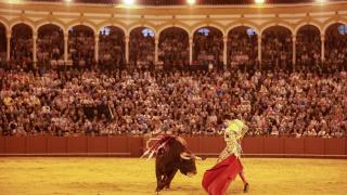 Roca Rey en la Maestranza, en una imagen de archivo.