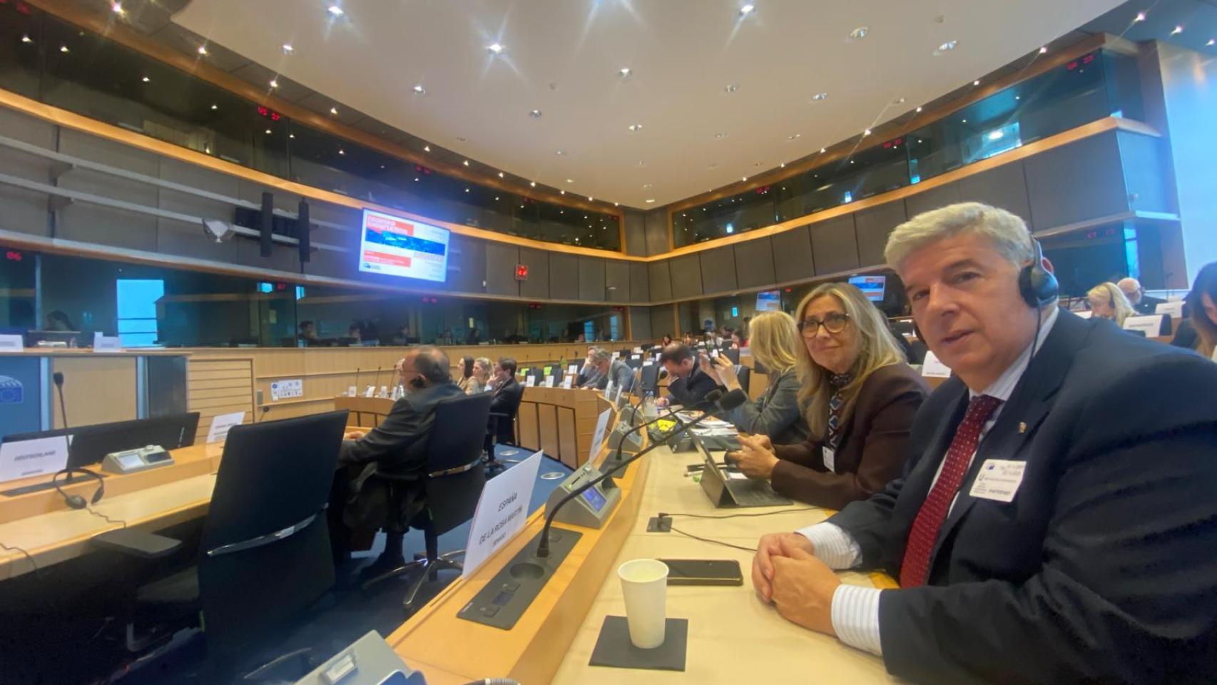 El senador Miguel Ángel de la Rosa durante su participación en la Comisión de Justicia del Parlamento Europeo.