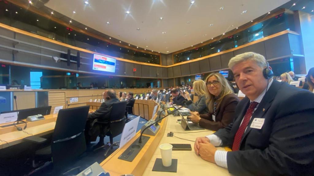 El senador Miguel Ángel de la Rosa durante su participación en la Comisión de Justicia del Parlamento Europeo.