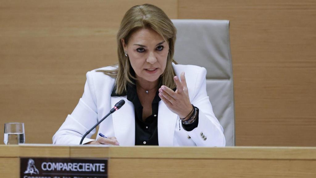 Camarero en la comisión de la dana del Congreso. Mariscal / Efe