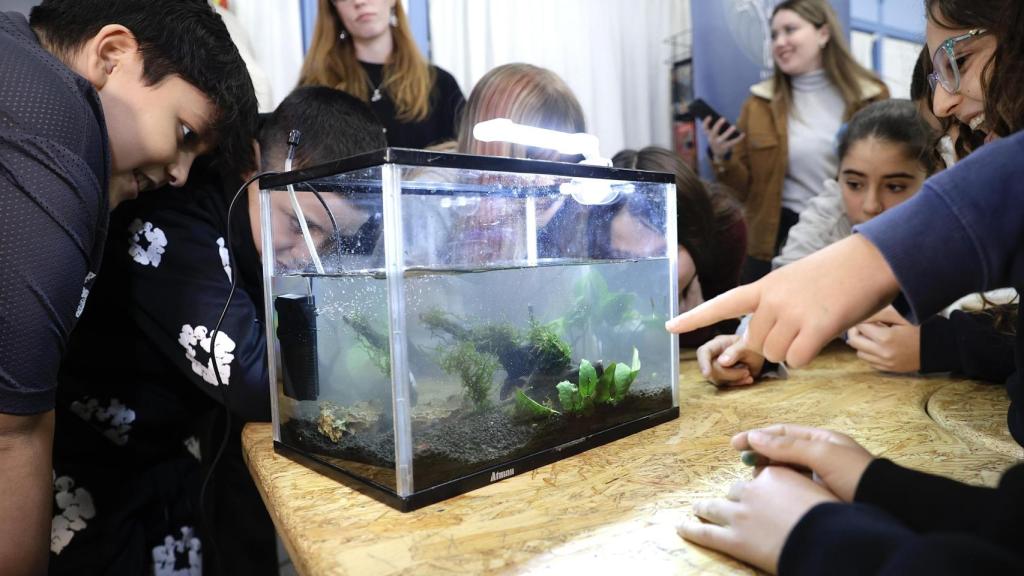 Cinco colegios de Málaga estrenan 'Naturaleza en el Aula'.