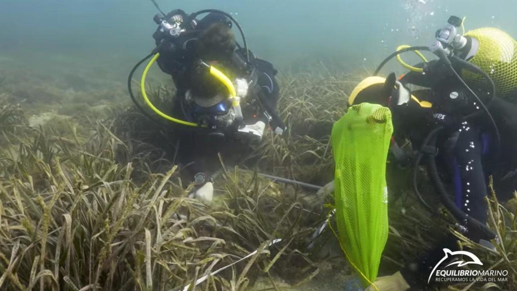 Investigadores de IBYDA.