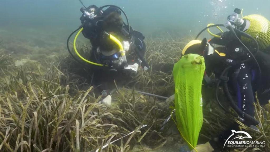 Investigadores de IBYDA.