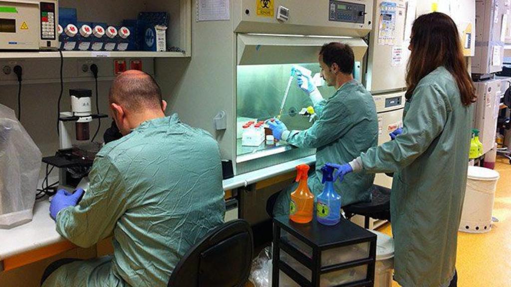 Investigadores del CNIO en su centro.