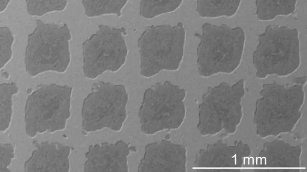 Imagen microscópica del nuevo compuesto de matriz metálica.