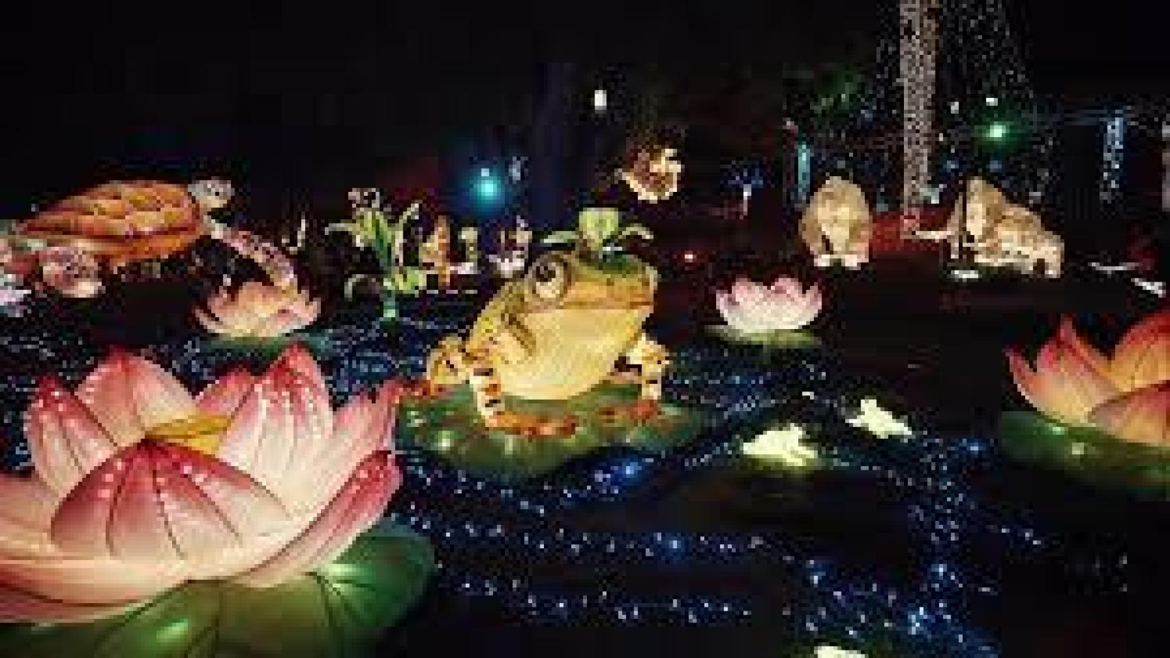 'Lucidum Natura' en Albacete.