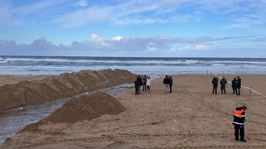 Imagen de las actuaciones.