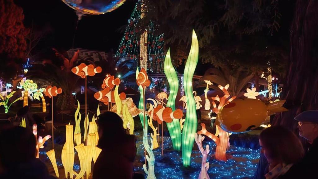 ‘Lucidum Natura’.