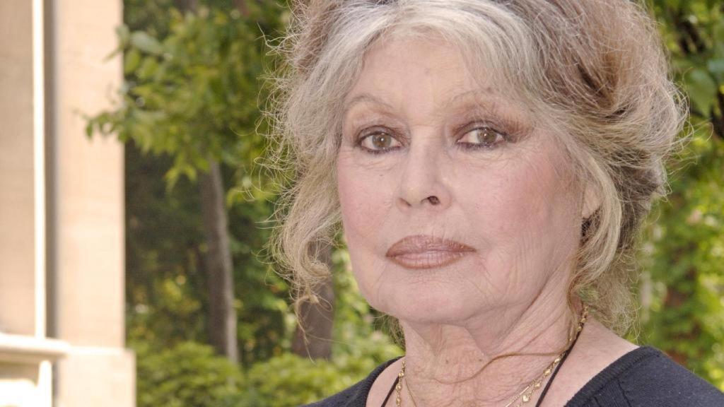 Brigitte Bardot en una fotografía tomada en 2006 en París.